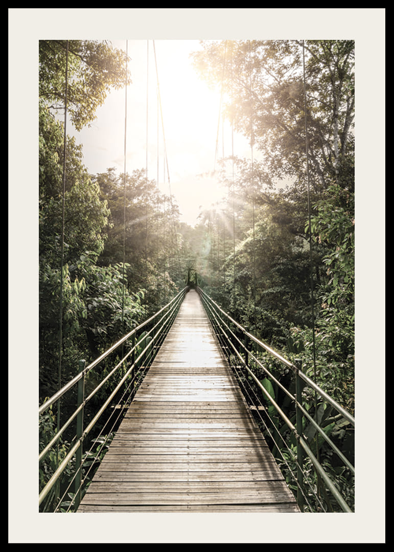 Photography of suspension bridge in jungle with morning sun in Costa Rica-12