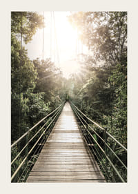 Photography of suspension bridge in jungle with morning sun in Costa Rica-3
