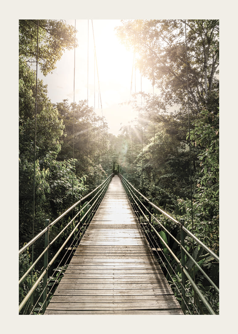 Photography of suspension bridge in jungle with morning sun in Costa Rica-12