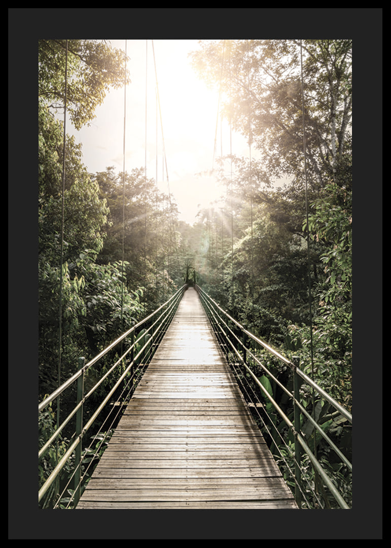 Photography of suspension bridge in jungle with morning sun in Costa Rica-12