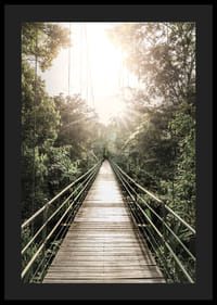 Photography of suspension bridge in jungle with morning sun in Costa Rica-4
