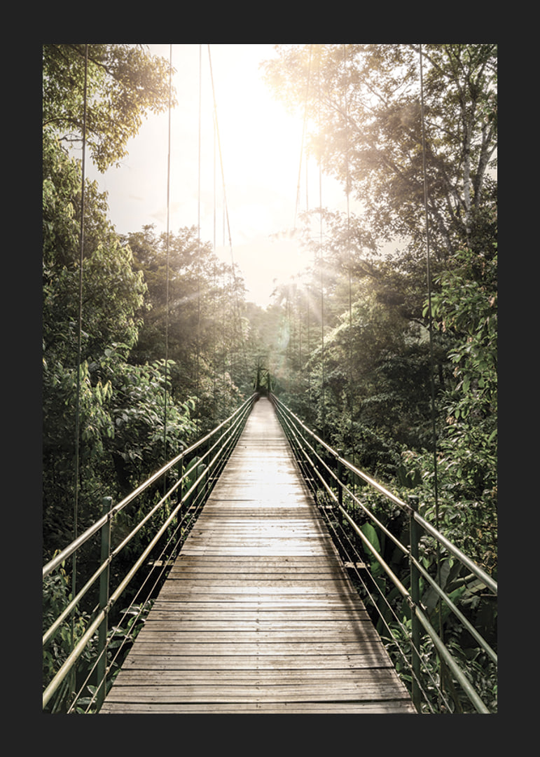 Photography of suspension bridge in jungle with morning sun in Costa Rica-12