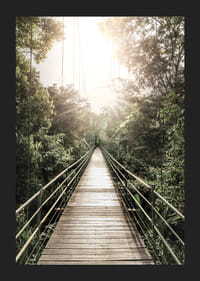 Photography of suspension bridge in jungle with morning sun in Costa Rica-5