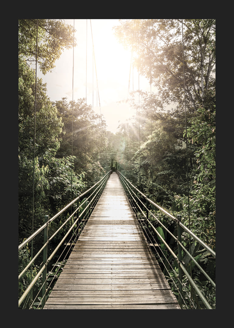 Photography of suspension bridge in jungle with morning sun in Costa Rica-12