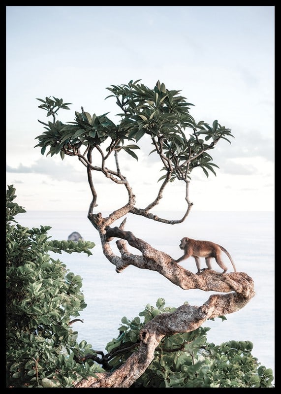 Photograph of small monkey on tree branch by the sea with bright tones-12