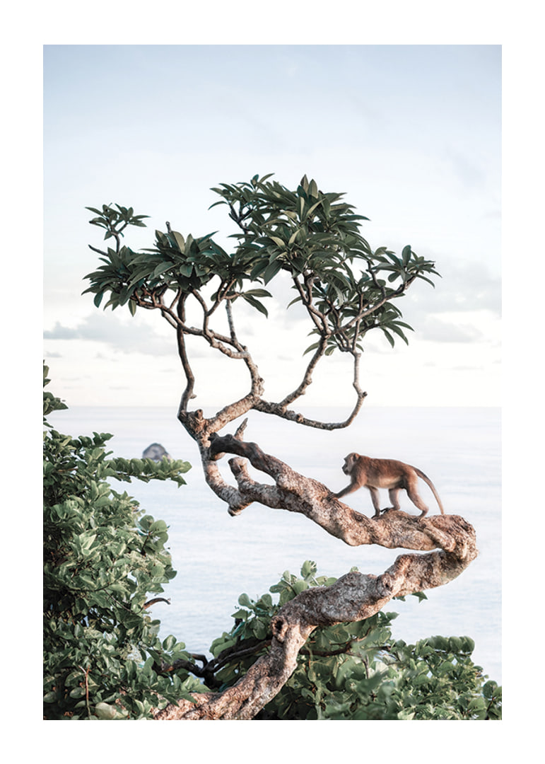 Photograph of small monkey on tree branch by the sea with bright tones-12