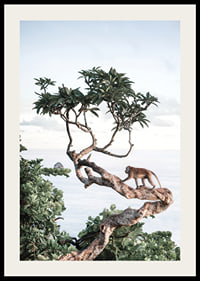 Photograph of small monkey on tree branch by the sea with bright tones-2