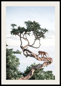 Photograph of small monkey on tree branch by the sea with bright tones-2