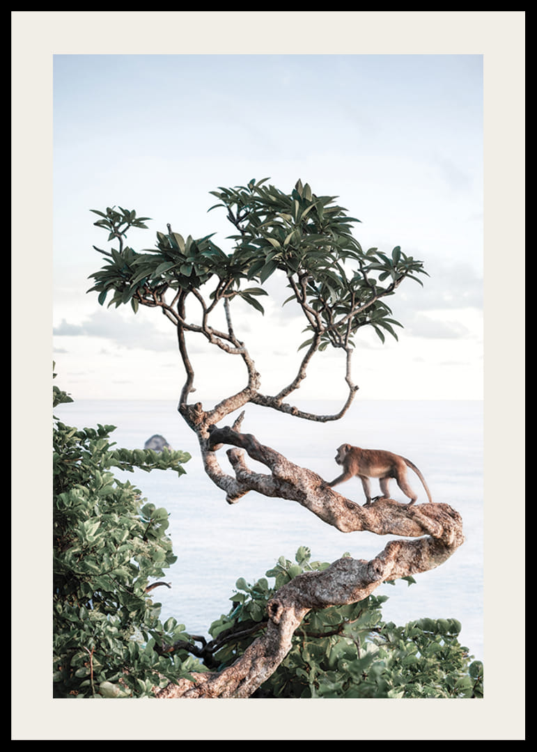 Photograph of small monkey on tree branch by the sea with bright tones-12