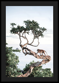 Photograph of small monkey on tree branch by the sea with bright tones-4