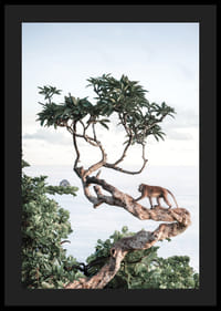 Photograph of small monkey on tree branch by the sea with bright tones-4