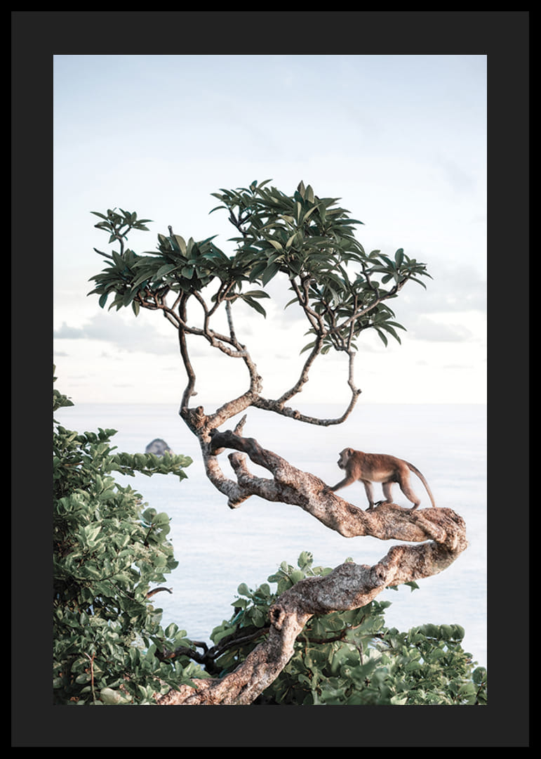 Photograph of small monkey on tree branch by the sea with bright tones-12