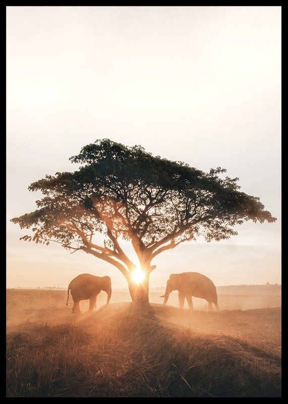 Photograph of two elephants by large tree at sunrise-12
