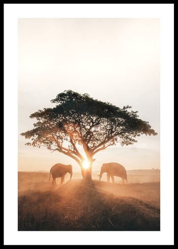 Poster Elephants At Sunrise
