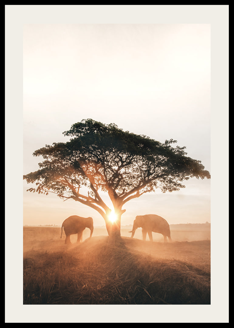 Photograph of two elephants by large tree at sunrise-12