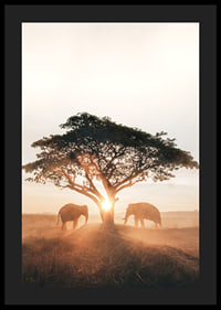 Photograph of two elephants by large tree at sunrise-4