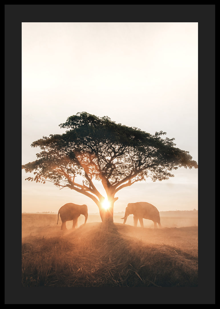Photograph of two elephants by large tree at sunrise-12