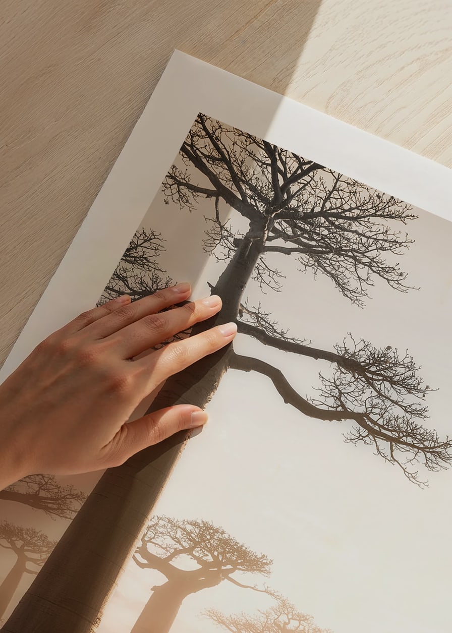 Fotografiskt landskap med baobabträd vid soluppgång-12