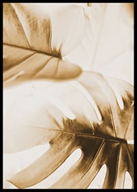Close-up of monstera leaves in golden sepia tones-6