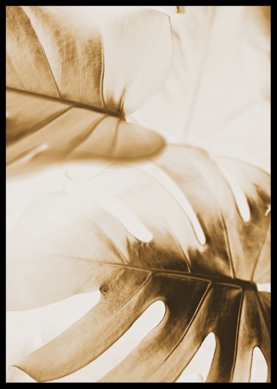 Close-up of monstera leaves in golden sepia tones-12
