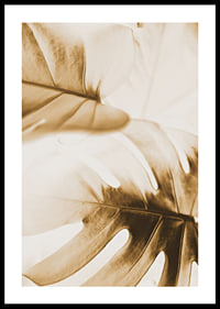 Close-up of monstera leaves in golden sepia tones-0