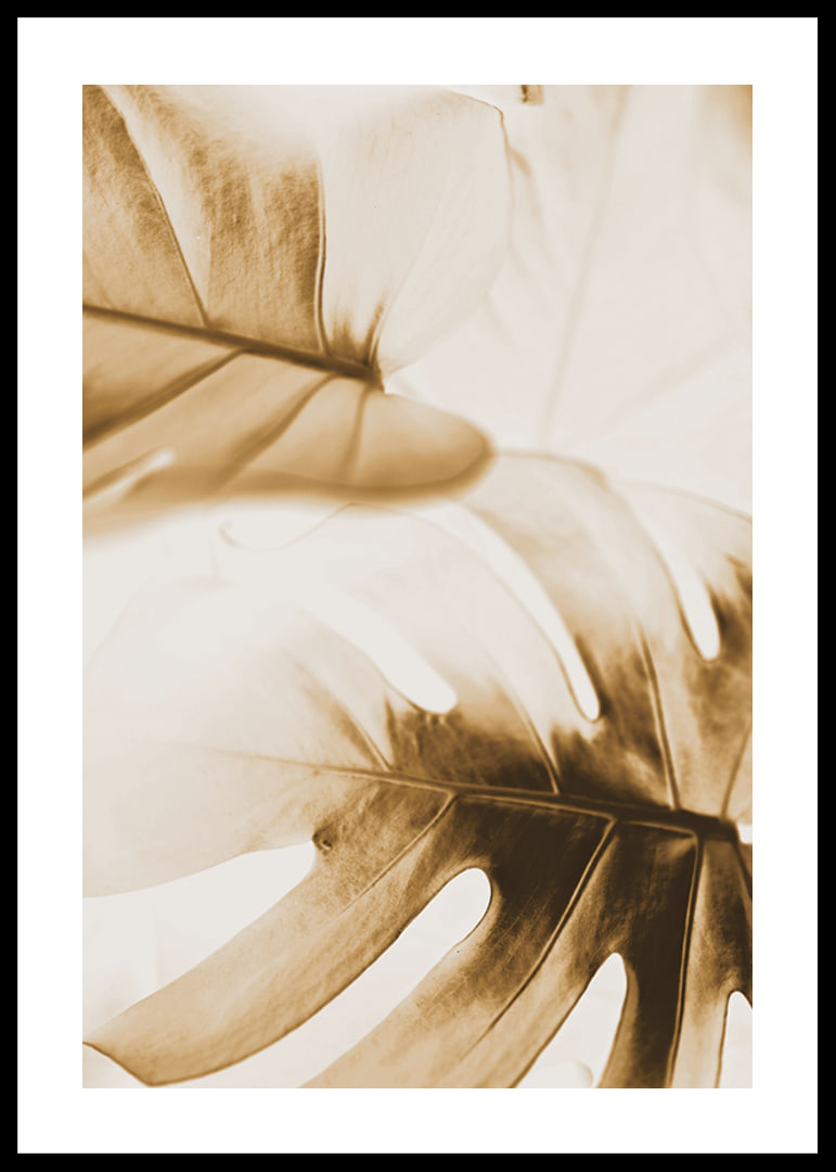 Close-up of monstera leaves in golden sepia tones-12