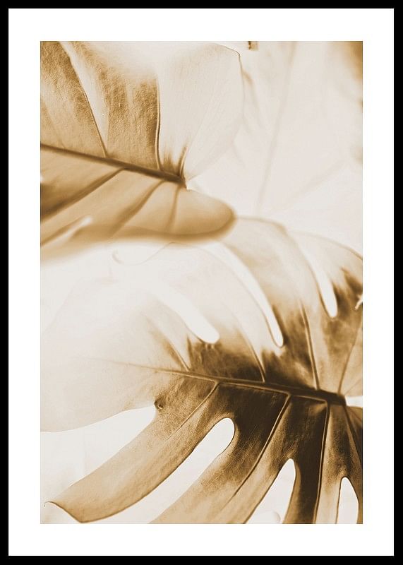 Golden Monstera Leaves-12
