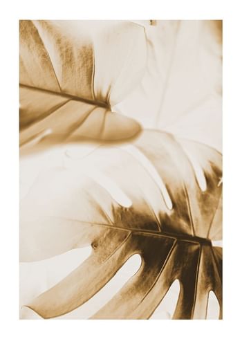 Poster Golden Monstera Leaves