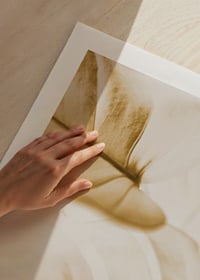 Close-up of monstera leaves in golden sepia tones-9