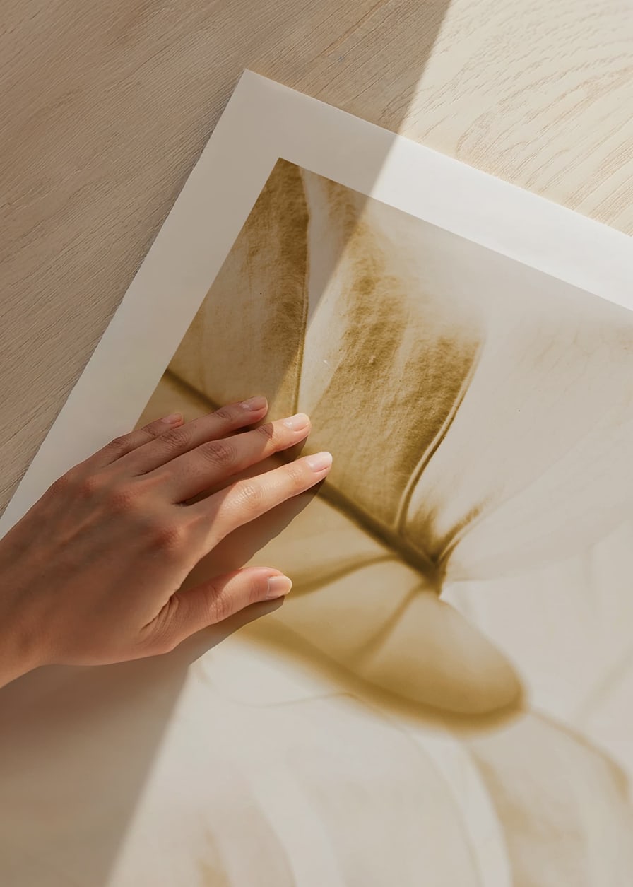 Close-up of monstera leaves in golden sepia tones-12