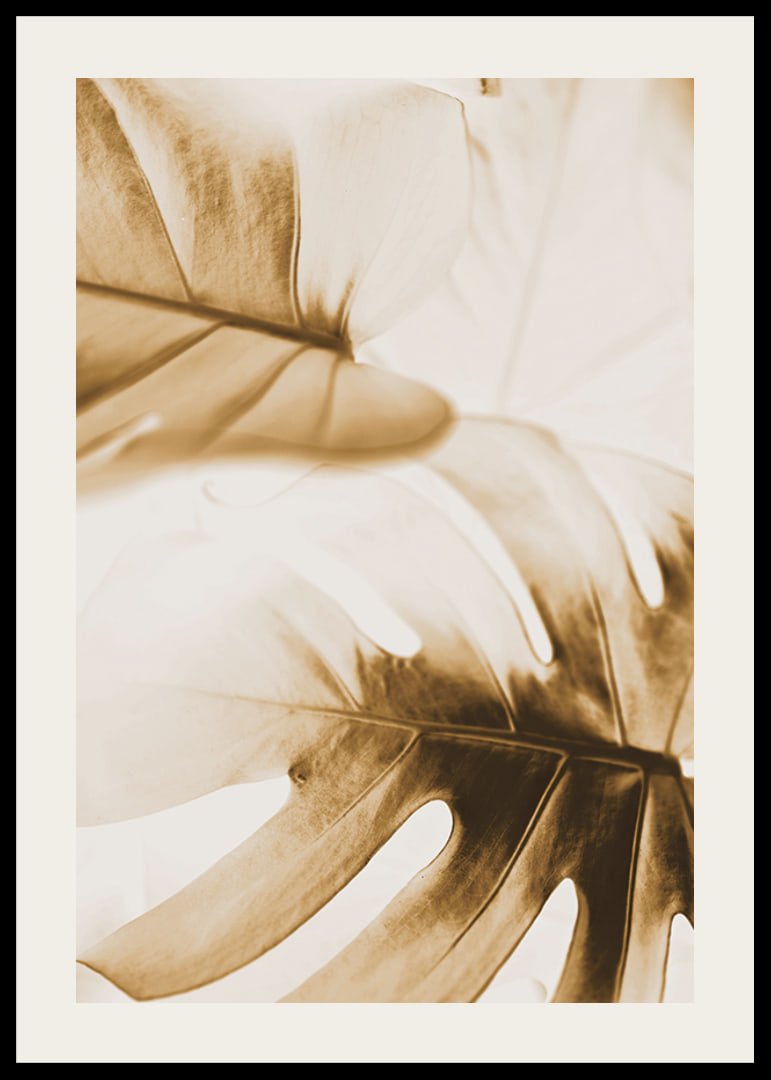 Close-up of monstera leaves in golden sepia tones-12