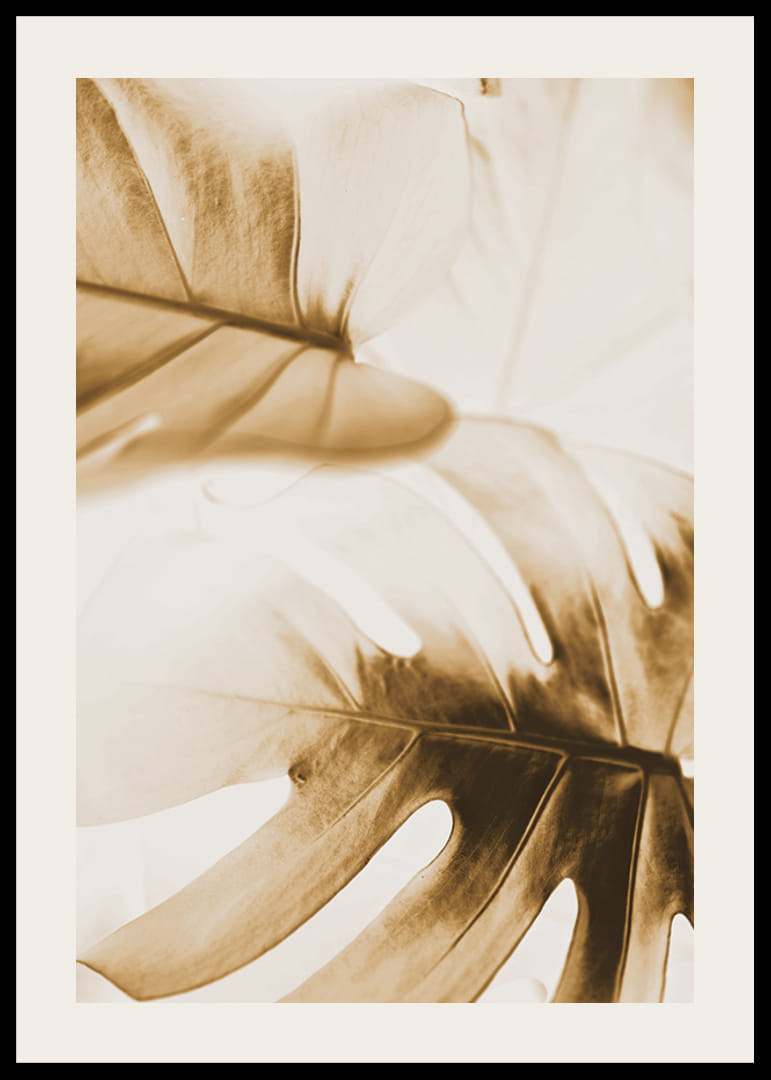 Nahaufnahme von Monstera-Blättern in goldenen Sepia-Tönen-12
