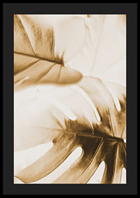 Close-up of monstera leaves in golden sepia tones-4