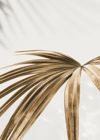 Golden Palm Leaves-3