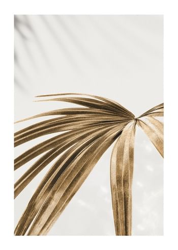 Poster Golden Palm Leaves