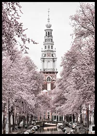 Photograph of Zuiderkerk in Amsterdam with pink flowering trees-6