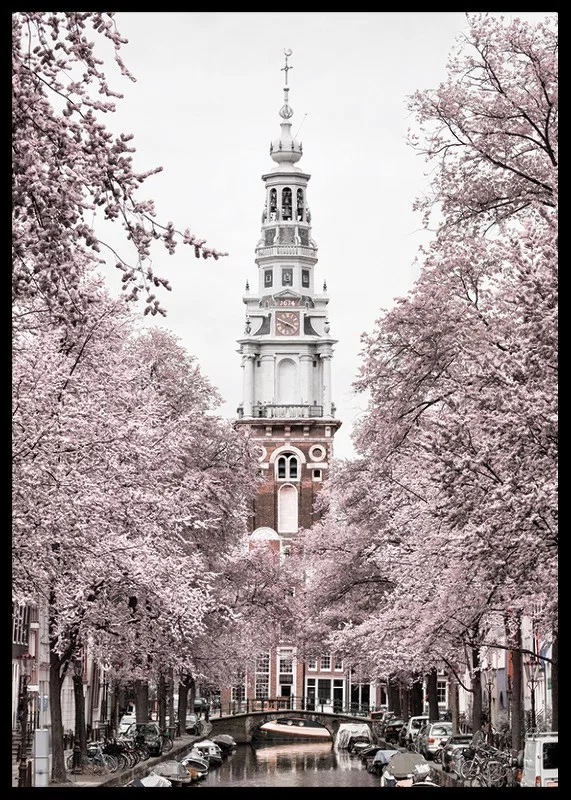 Photograph of Zuiderkerk in Amsterdam with pink flowering trees-12