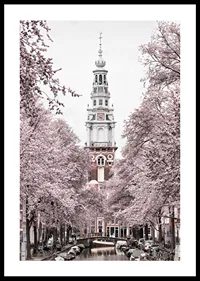 Photograph of Zuiderkerk in Amsterdam with pink flowering trees-0