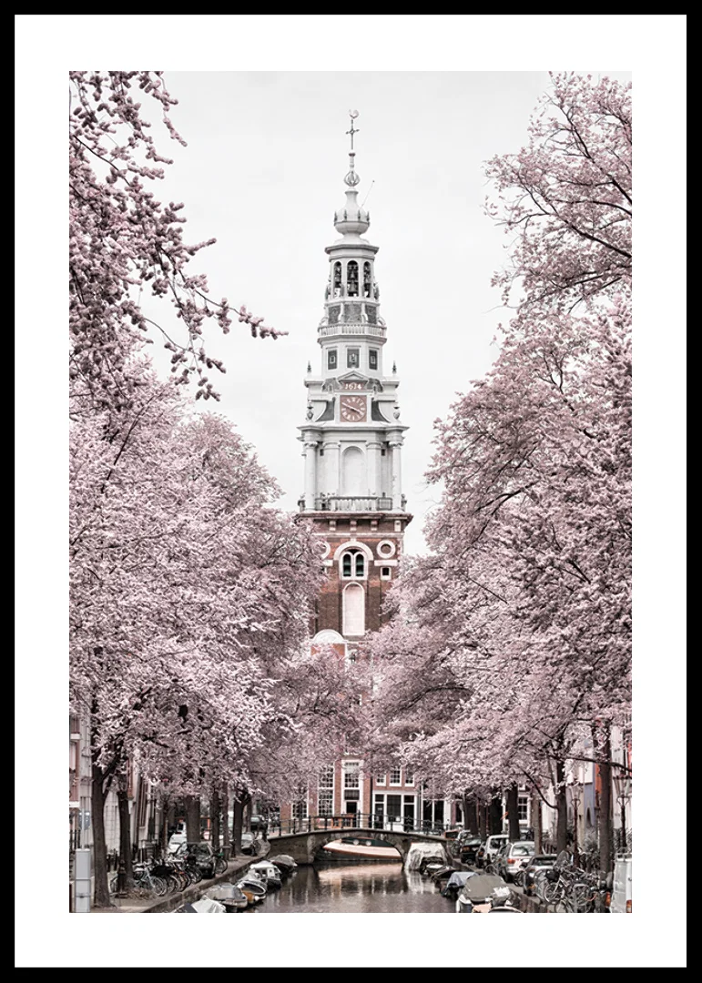 Photograph of Zuiderkerk in Amsterdam with pink flowering trees-12
