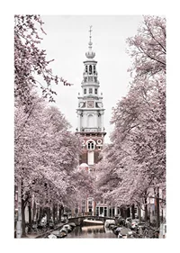 Photograph of Zuiderkerk in Amsterdam with pink flowering trees-1