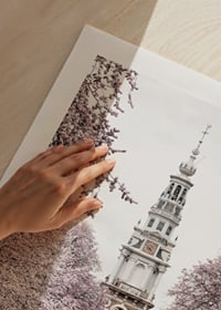 Zdjęcie Zuiderkerk w Amsterdamie z różowo kwitnącymi drzewami-9