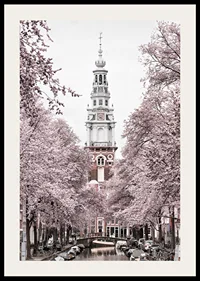 Photograph of Zuiderkerk in Amsterdam with pink flowering trees-2