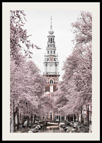 Fotografía de Zuiderkerk en Amsterdam con árboles en flor rosa-2