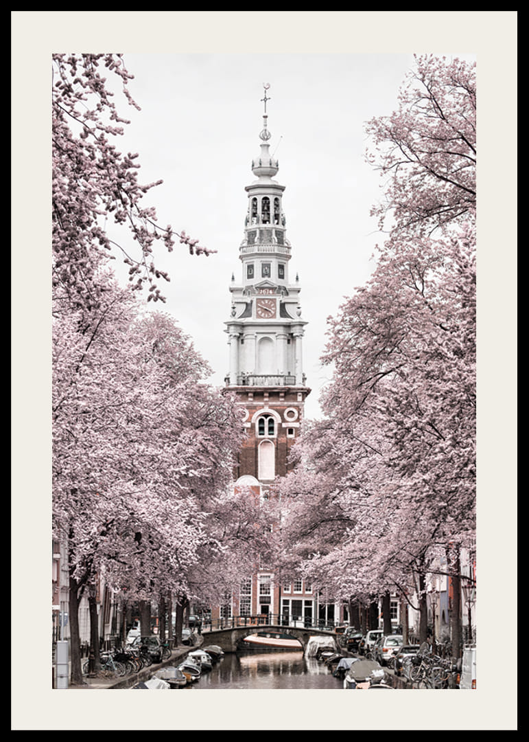 Fotografía de Zuiderkerk en Amsterdam con árboles en flor rosa-12