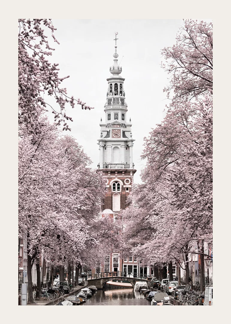 Photograph of Zuiderkerk in Amsterdam with pink flowering trees-12