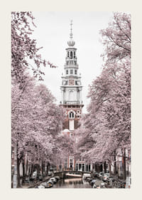 Fotografía de Zuiderkerk en Amsterdam con árboles en flor rosa-3