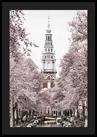 Photograph of Zuiderkerk in Amsterdam with pink flowering trees-4