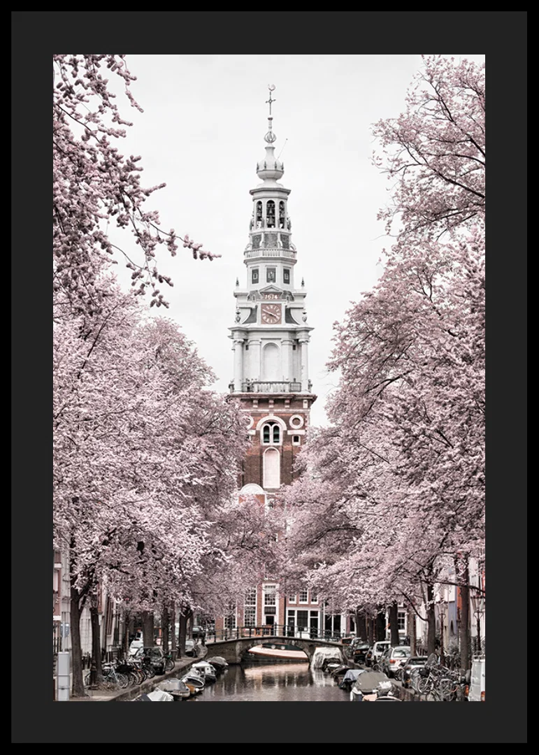 Photograph of Zuiderkerk in Amsterdam with pink flowering trees-12