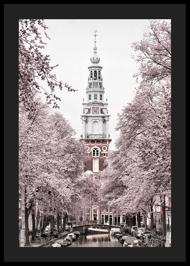 Fotografía de Zuiderkerk en Amsterdam con árboles en flor rosa-12