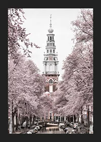 Photograph of Zuiderkerk in Amsterdam with pink flowering trees-5